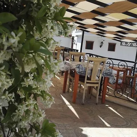 Cunda Dalyan *