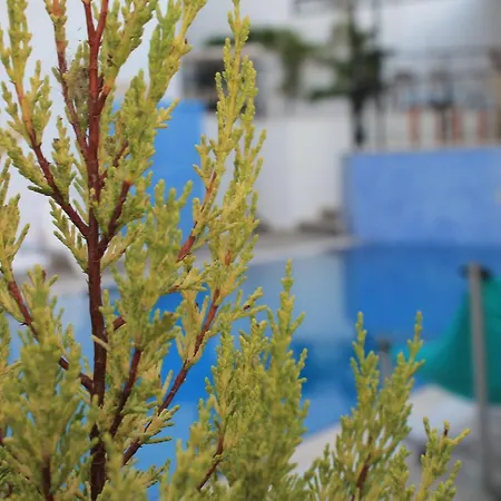 Cunda Dalyan Hotel *